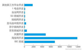 中國企業(yè)電子商務IT建設報告 電子商務技術發(fā)展與應用